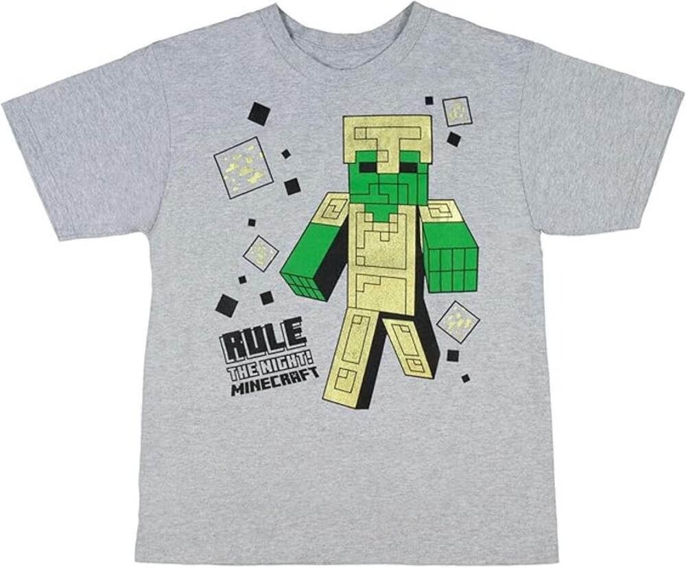 Mojang Boys Gray Graphic Short Sleeve Crew Neck T-Shirt Youth Size Medium